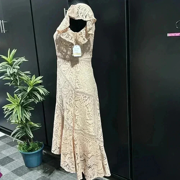 Just Taylor V-neck flutter sleeve lace,Hi/low ruffle,zip back, lined,zipper back - Picture 4 of 16